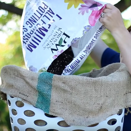 strawberry planter in laundry basket
