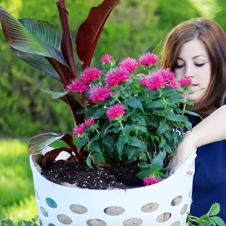 strawberry planter in laundry basket