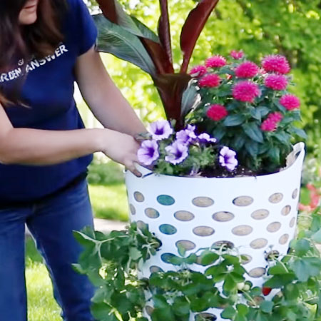 strawberry planter in laundry basket
