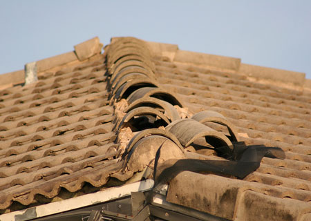 Check that a roof is in good condition