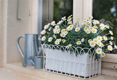 12 Smart Garden Ideas That Could Even Fit Inside Tiny Spaces