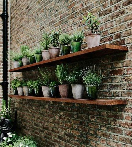 shelves for garden
