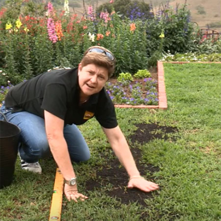 tips for spring gardens