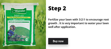 fertilizer for spring lawn