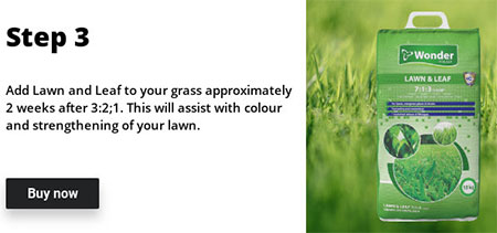 regular treatment for spring lawns
