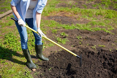 prepare garden for sowing grass seed