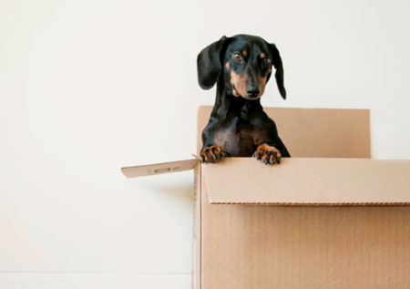 Make Your Big Moving Day Easy