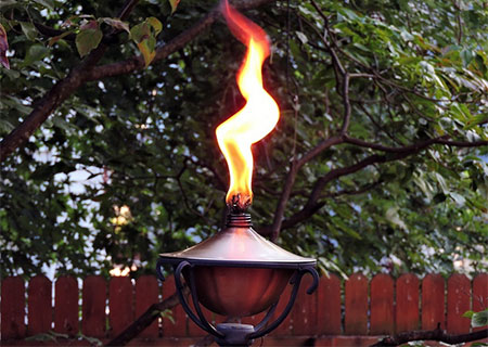5 Effective Ways To Prevent Mosquitoes Ruining Your Party