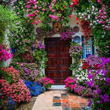 colourful spring garden ideas