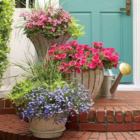 add colourful spring flowers to garden