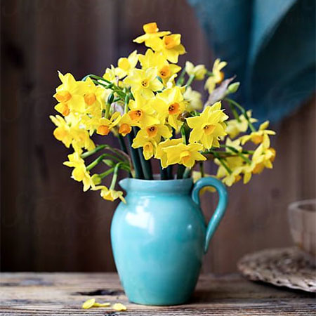 decorate for spring