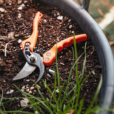 How to Clean and Sharpen your Garden Tools
