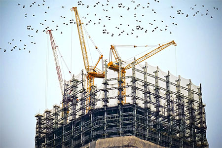 Best Construction Management Softwares