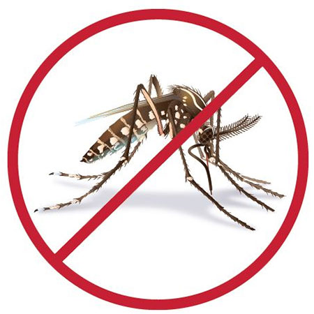 9 Ways To Save Your Home From Mosquitoes