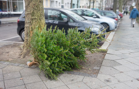 Recycling Tips for your Christmas waste