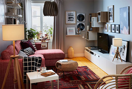 Living Room that's also a Bedroom