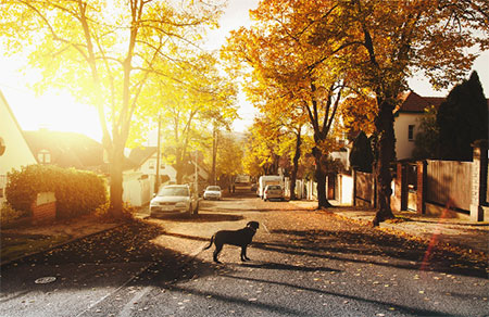 Family-oriented Neighborhood