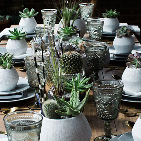use succulents as decor