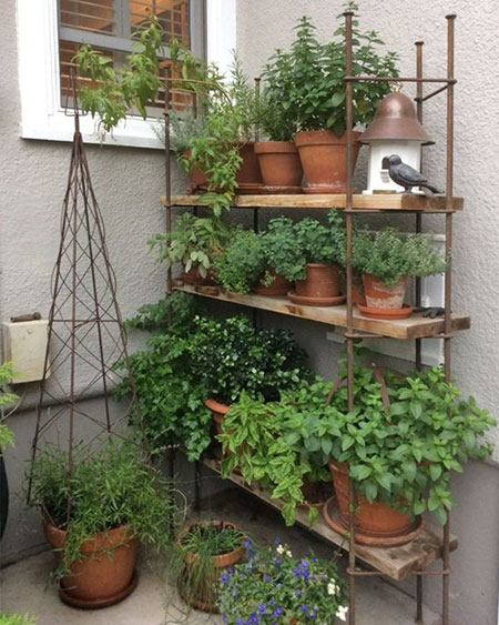 creative with plant containers