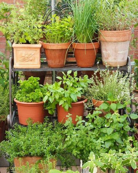 old flower pots for herb garden