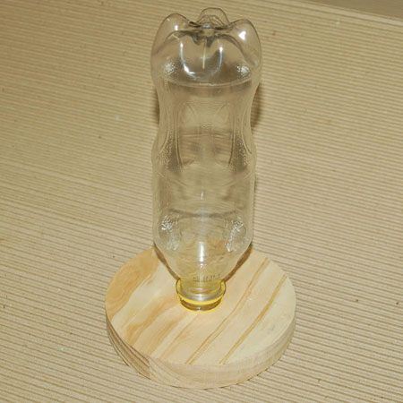 bottle