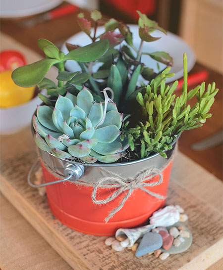 rust-oleum coral spray paint