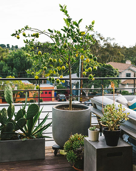 seamless transition from indoors to outdoors