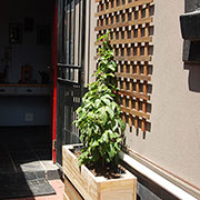 outdoor planter and trellis