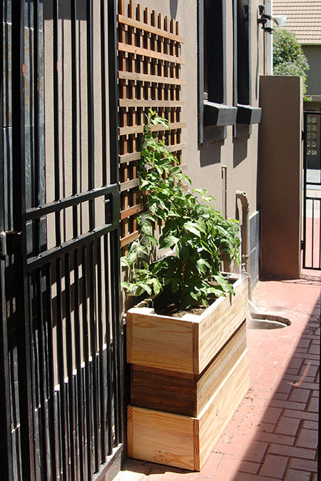make a trellis and planter box