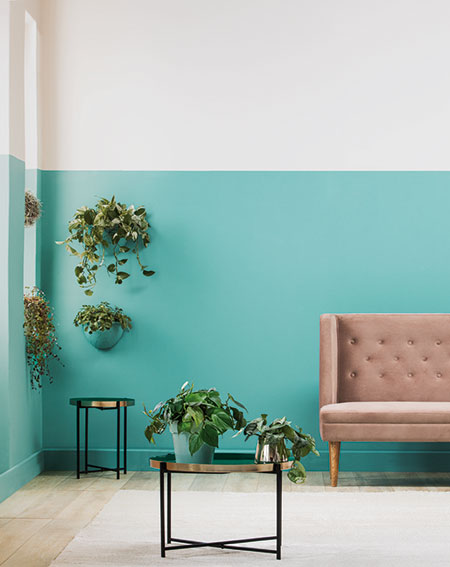 plascon nutmeg dust