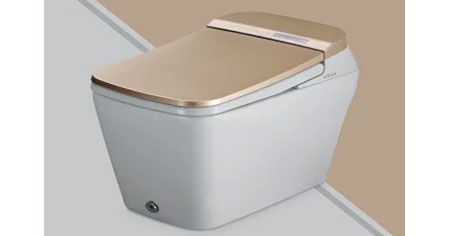 Add a Luxury Touch to your Bathroom with these Water Closets