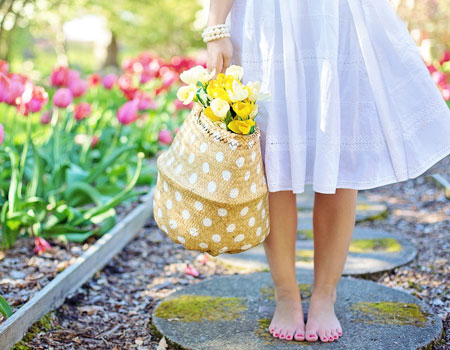 garden ready for spring