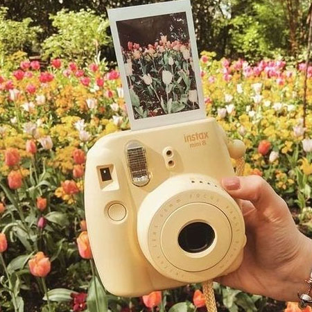 instant camera back on trend
