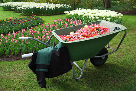 Top Tools for Maintaining Your Garden