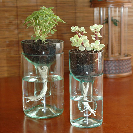 glass wine bottle planters