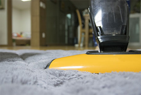 vacuum cleaner for carpets