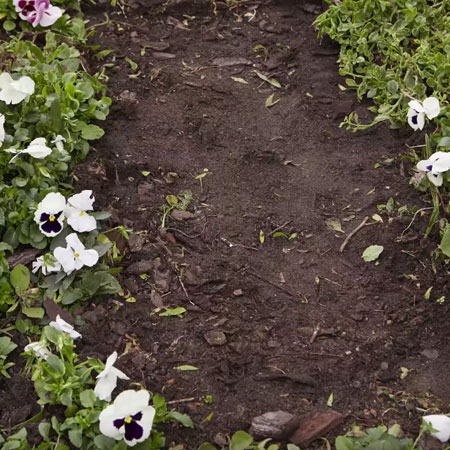 prepare the area for laying the wood path