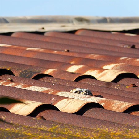 The cost per metre for rusted IBR or corrugated roofing - even with holes and substantial damage - is three times what it costs brand new