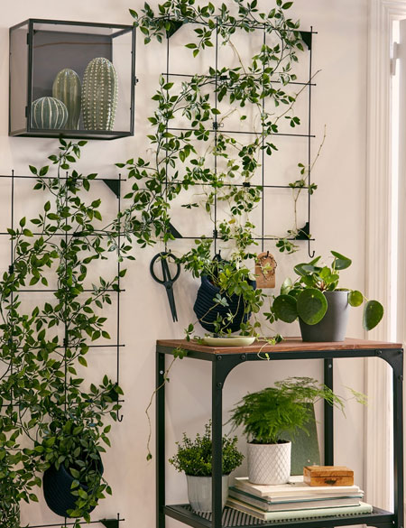 Indoor plants are a wonderful way to bring a touch of nature indoors and blur the lines between in and outdoors.