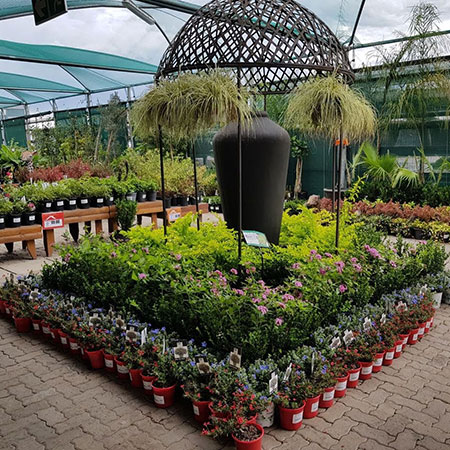 Builders is blooming good!