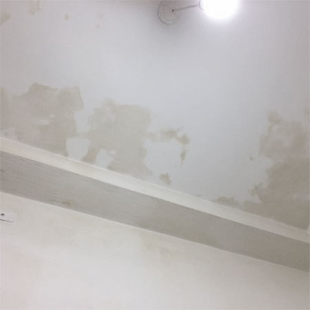 look for signs of damp in bathroom