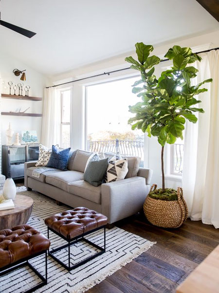 Freshen a Home with Indoor Plants