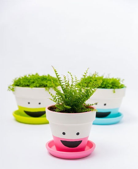 Great Ideas for Colourful Flower Pots