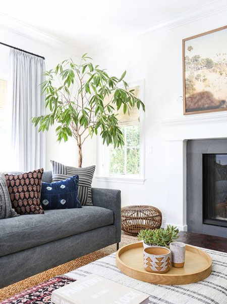 Freshen a Home with Indoor Plants