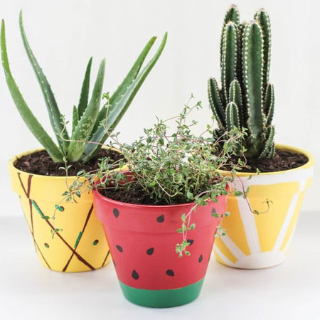 giving plant pots a colourful makeover