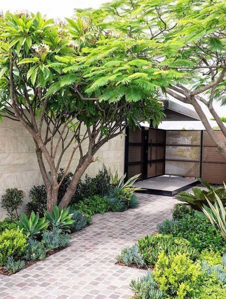 garden maintenance in autumn