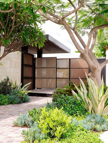 trim trees in garden in autumn