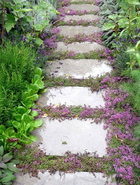 add interest to winter garden