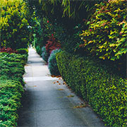 websites for DIY landscaping tips