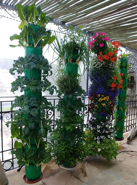 tower gardens in south africa